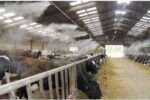 Fogger Kit For DAIRY fARM